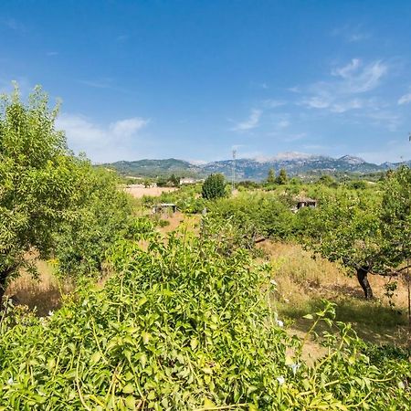 印卡 Ideal Property Mallorca - Can Reure旅馆 外观 照片