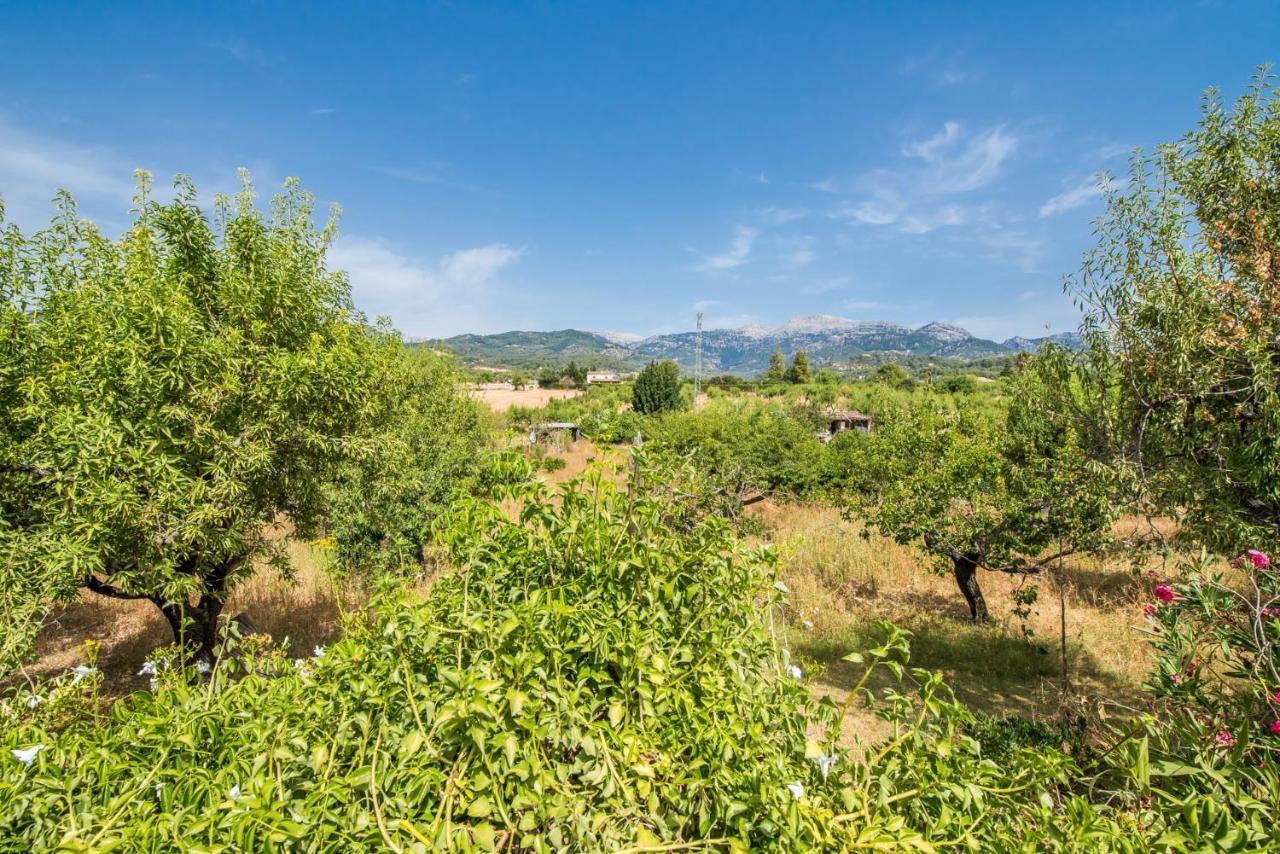 印卡 Ideal Property Mallorca - Can Reure旅馆 外观 照片